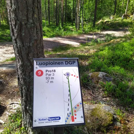 Luopioinen DGP väylä 9 – Kolari-Special Kolari-Specialin kummiväylä 9 Luopioisten frisbeegolfradalla